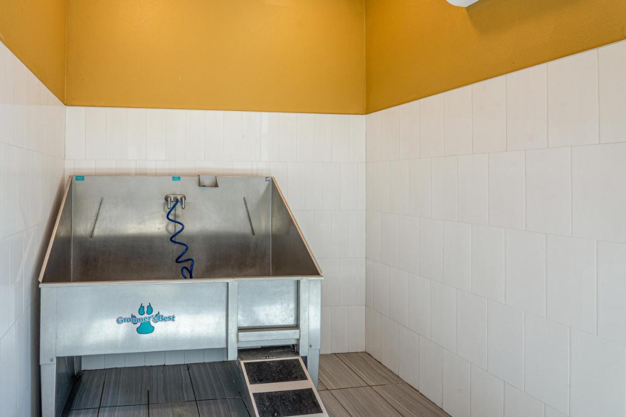 Leander Luxe 3B/2B Getaway - Pool, Gym, Parking, Pet Wash 아파트 외부 사진